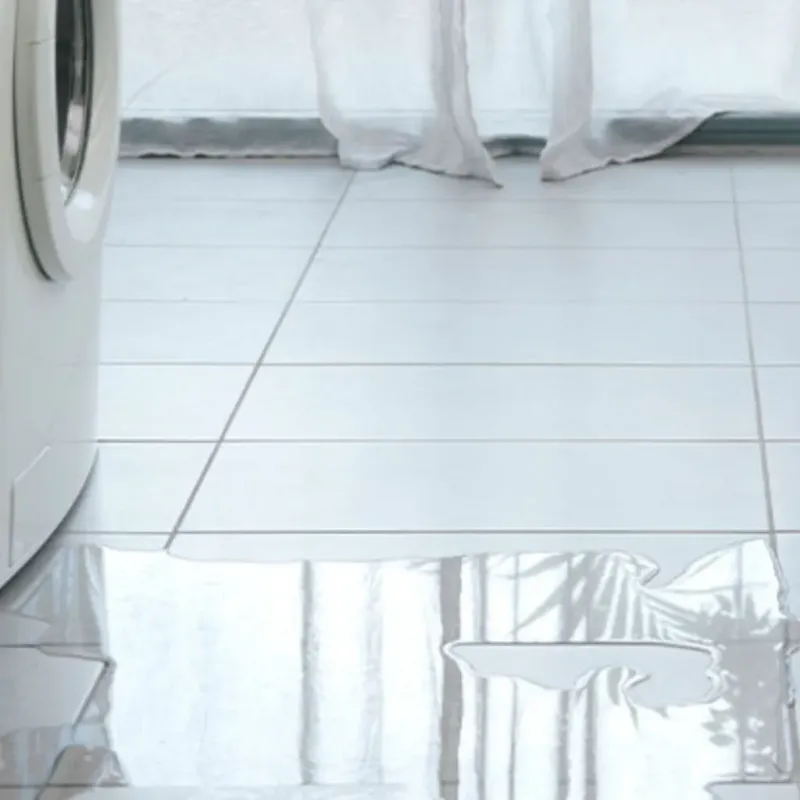 Appliance Leak Cleanup in Cornell, WI