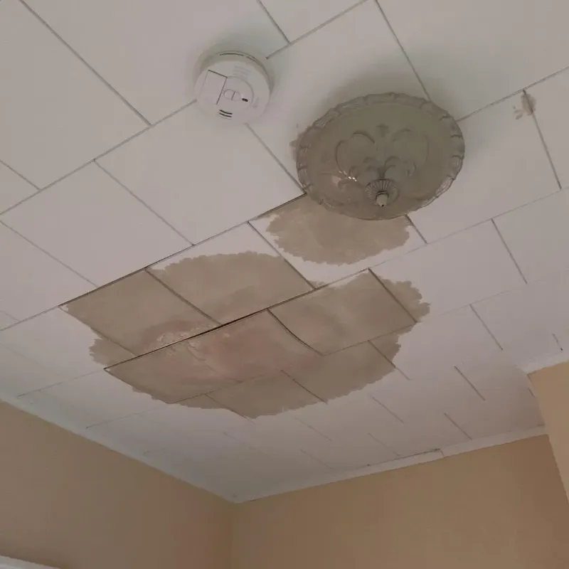 Ceiling Water Damage Repair in Cornell, WI