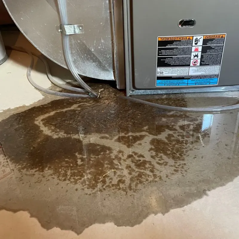 Pipe Burst and Leak Restoration in Cornell, WI