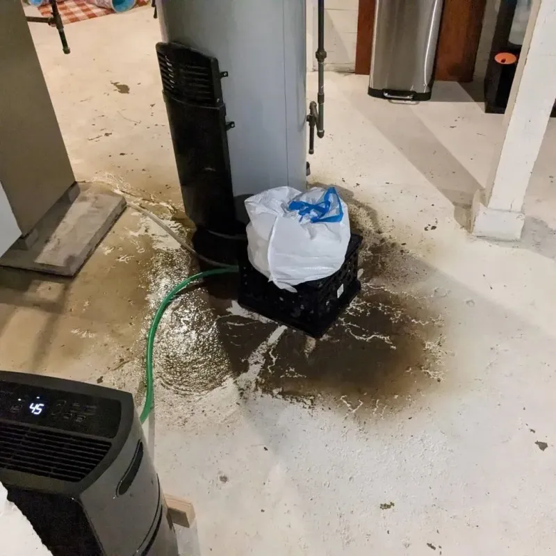 Sewage Backup Cleanup Service in Cornell, WI